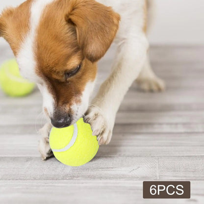 Fetch-o-Matic™ 6Pcs Tennis Balls