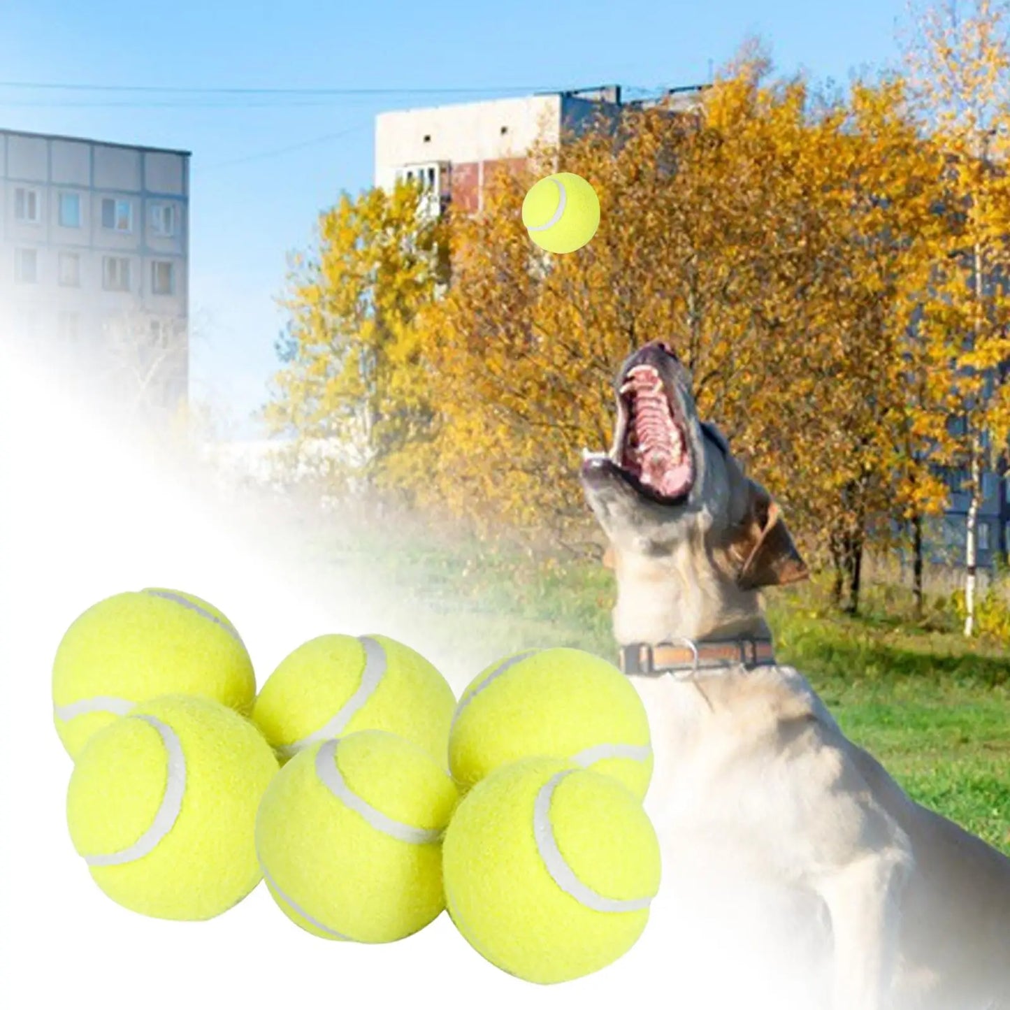 Fetch-o-Matic™ 6Pcs Tennis Balls