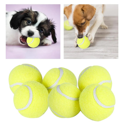 Fetch-o-Matic™ 6Pcs Tennis Balls