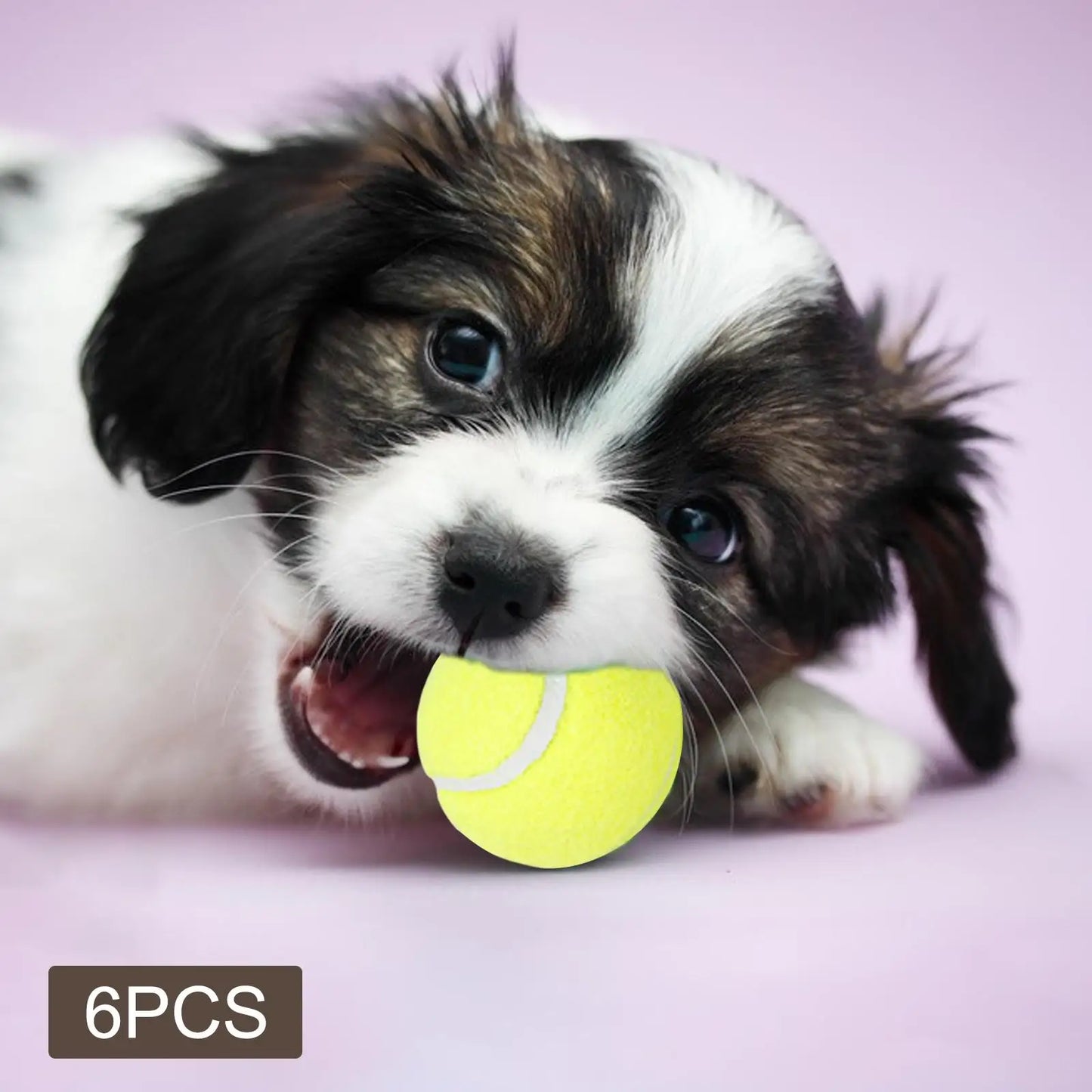 Fetch-o-Matic™ 6Pcs Tennis Balls